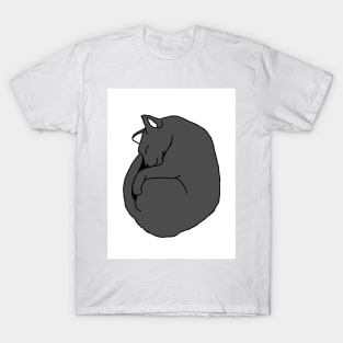 Gray cat sleeps T-Shirt